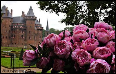 Kasteel De Haar