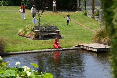 Ngatea Water Gardens