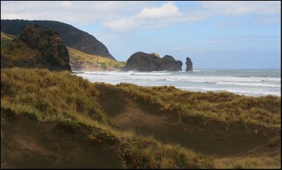 Piha Beach, West Coast of Auckland