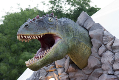 Dinosaur head