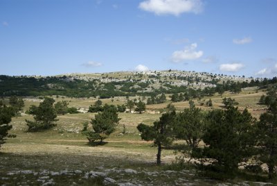 Mountain landscape