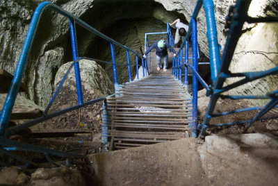 Ladder in a cave