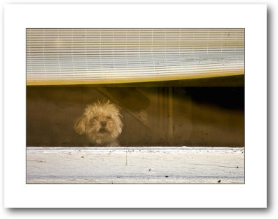 g1/97/783397/3/111847247.4mNSbQEw.jpg