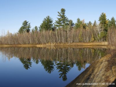 reflet