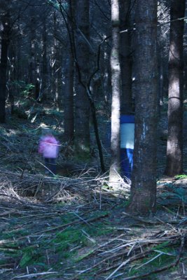 I came across these ghosts when walking in the woods