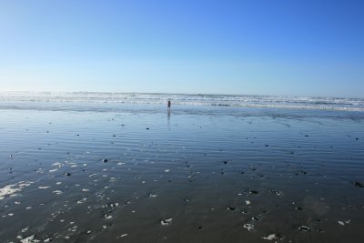January at Whiskey Run Beach 083.jpg