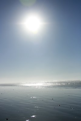 January at Whiskey Run Beach 107.jpg