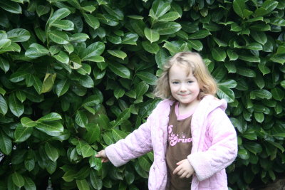 february 2008 009.jpg