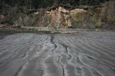 february 2008 010.jpg