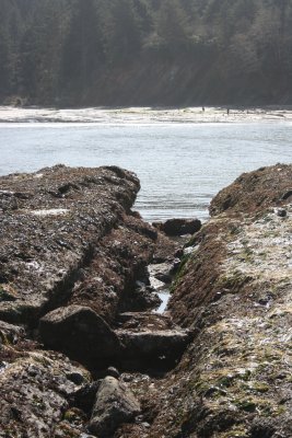february 2008 017.jpg