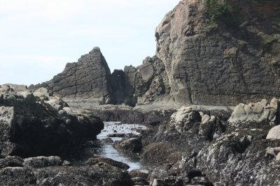 february 2008 019.jpg