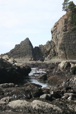 february 2008 020.jpg