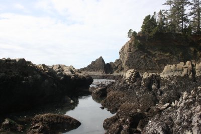 february 2008 024.jpg