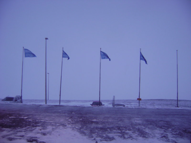 DSC05138.JPG