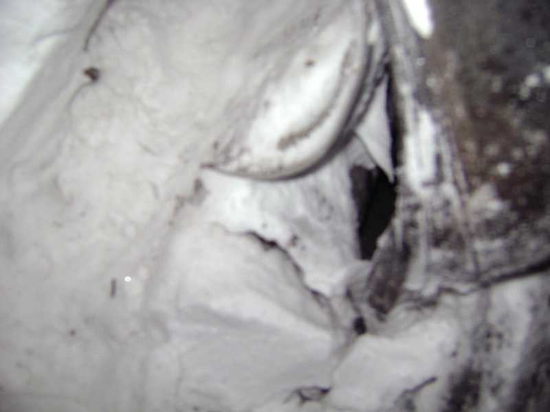 DSC05349.JPG