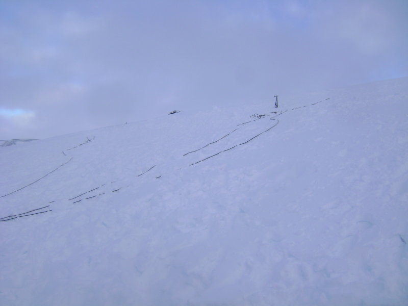 DSC06476.JPG