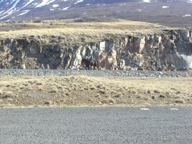 CIMG7195.JPG