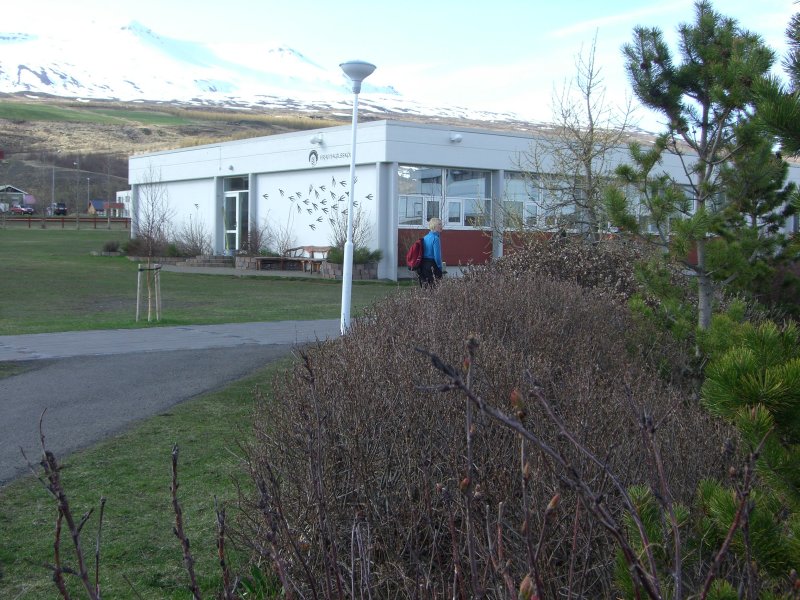 CIMG7215.JPG