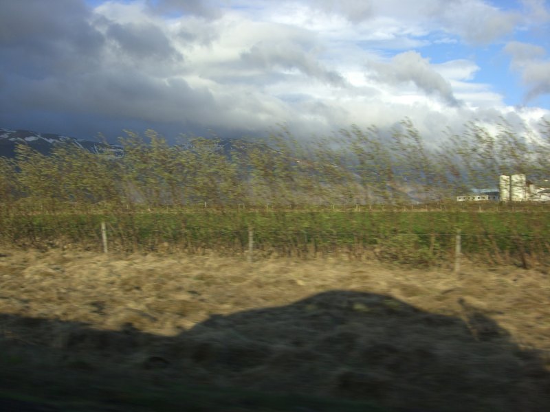 CIMG8129.JPG