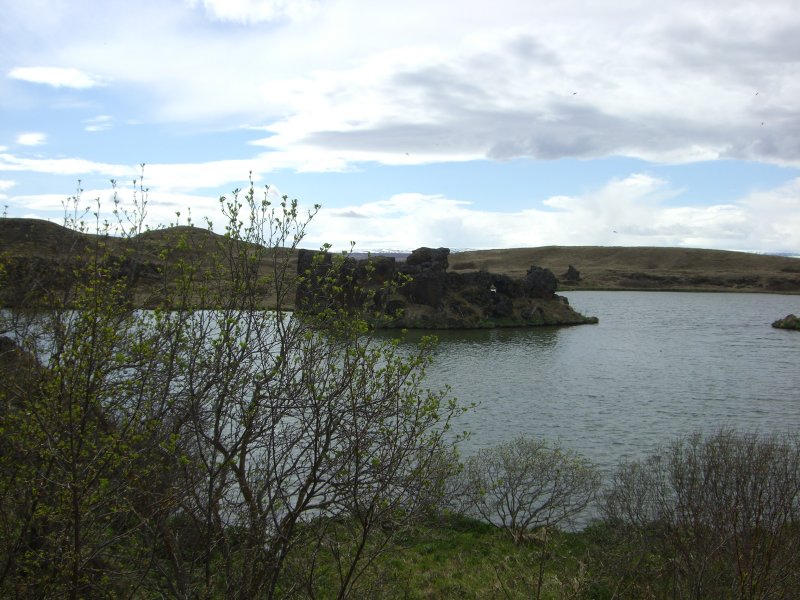 CIMG8242.JPG