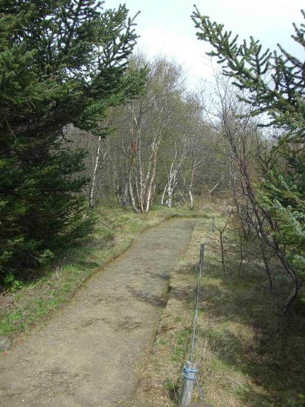 CIMG8254.JPG