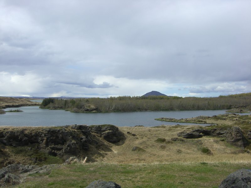 CIMG8261.JPG