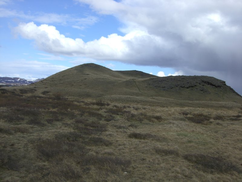 CIMG8349.JPG