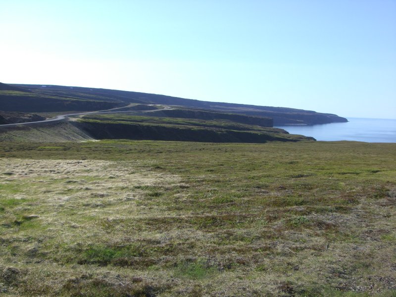 CIMG8471.JPG