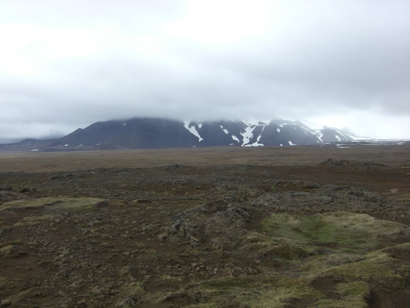 CIMG8779.JPG