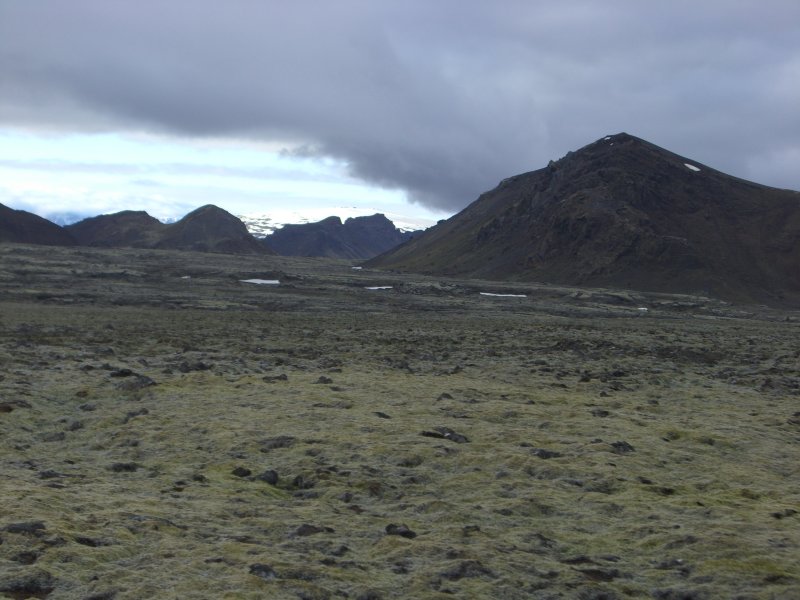 CIMG8838.JPG