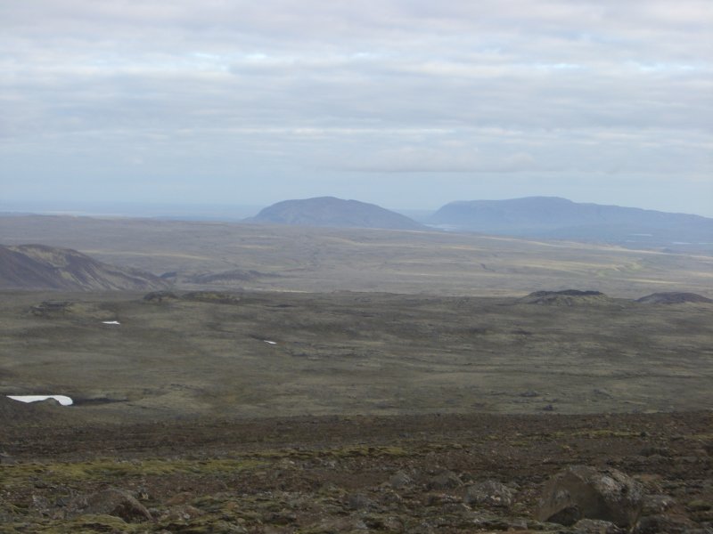 CIMG8864.JPG