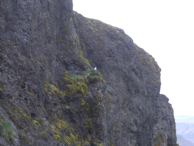 CIMG9456.JPG