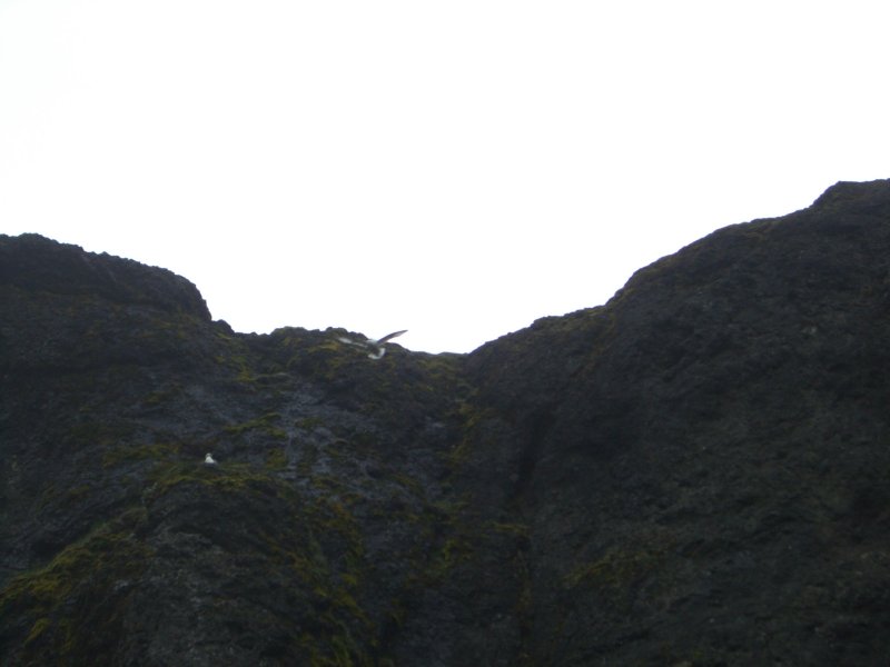 CIMG9462.JPG