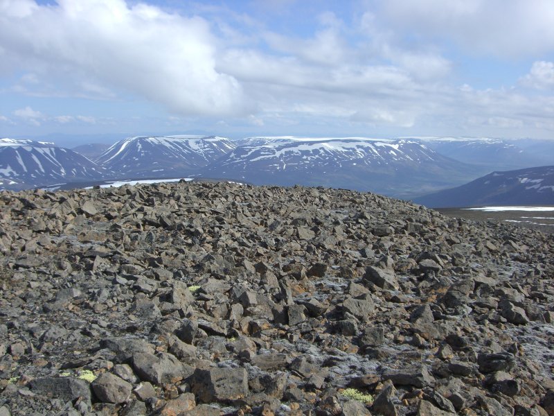 CIMG9558.JPG