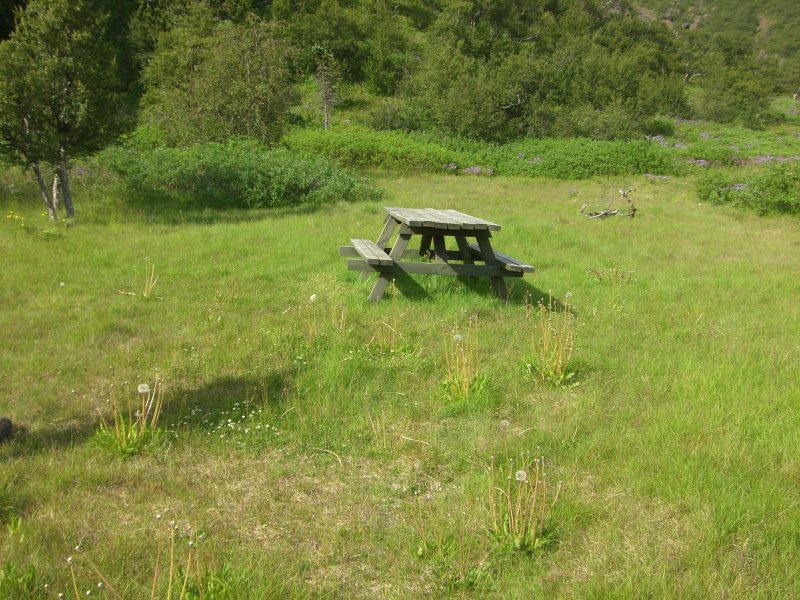 CIMG9876.JPG