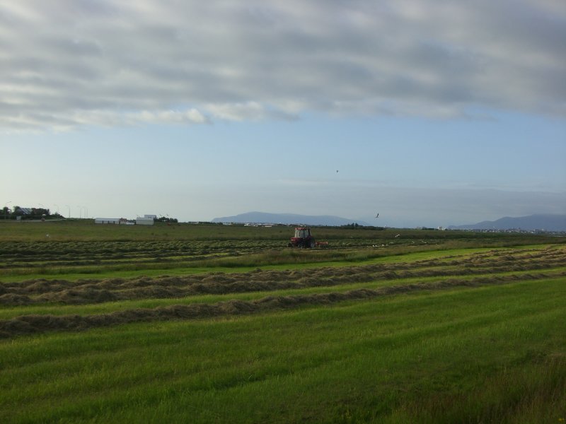 CIMG9983.JPG
