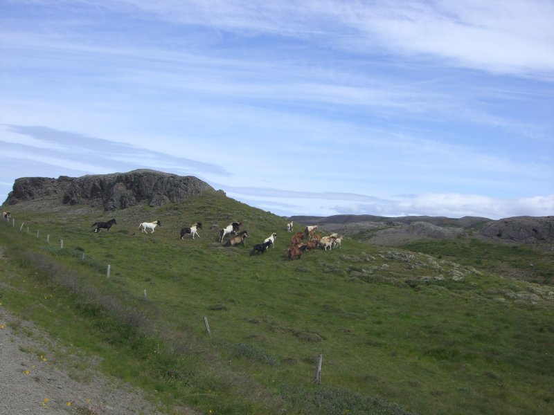 CIMG0512.JPG