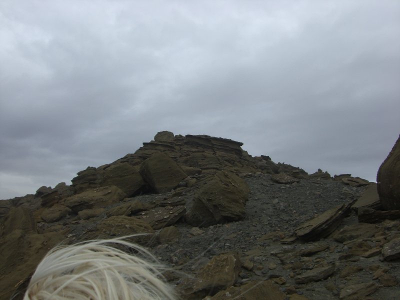 CIMG0829.JPG