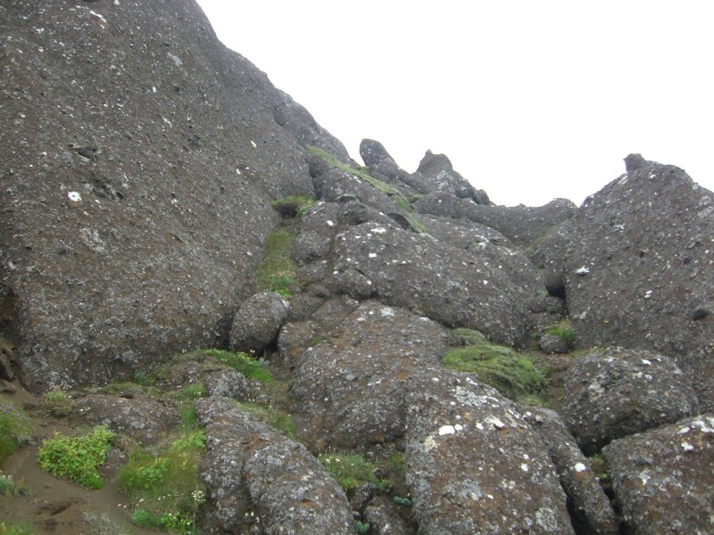 CIMG0912.JPG