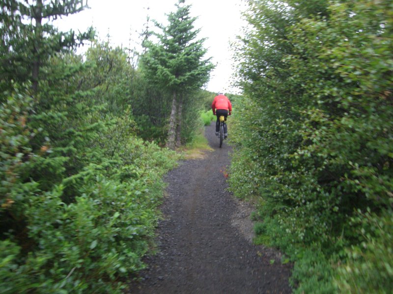 CIMG0957.JPG