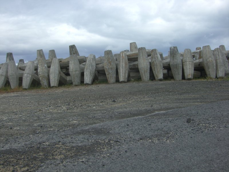 CIMG1085.JPG