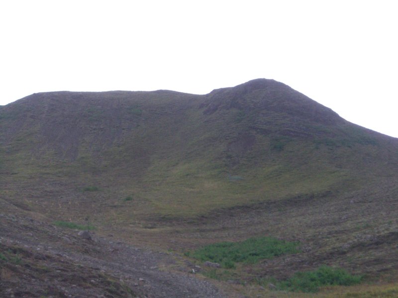 CIMG2835.JPG