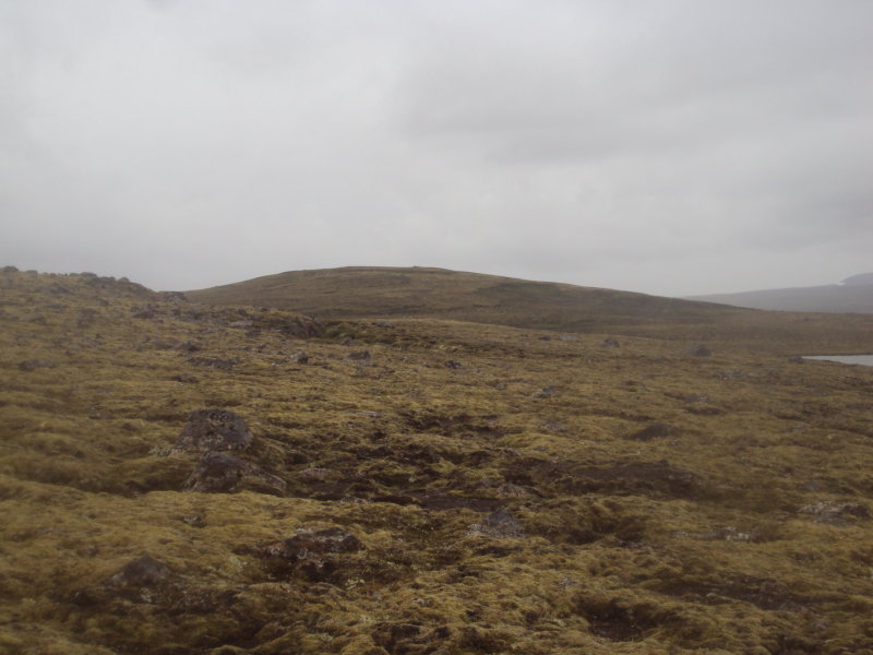 DSC04375.JPG