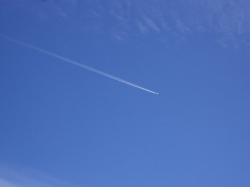 DSC04476.JPG