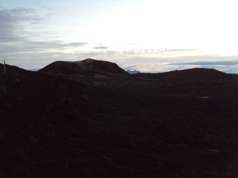DSC04687.JPG