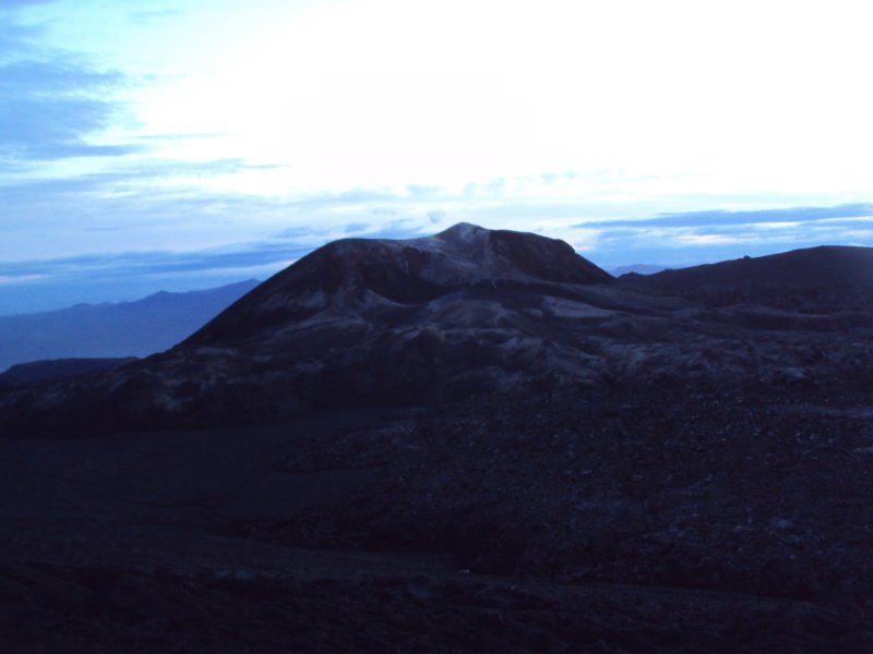 DSC04692.JPG
