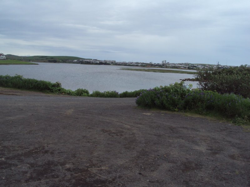 DSC05040.JPG