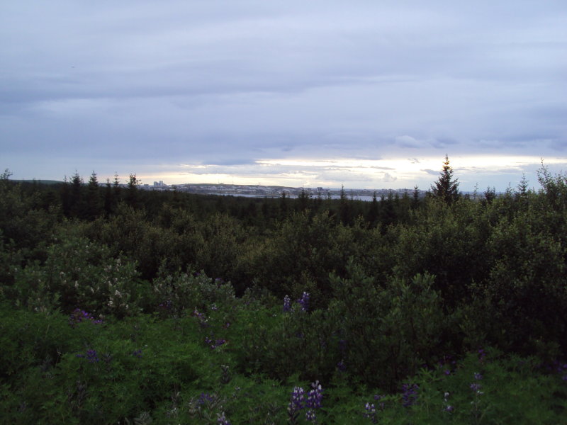 DSC05057.JPG