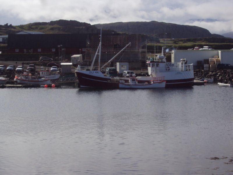 DSC05715.JPG