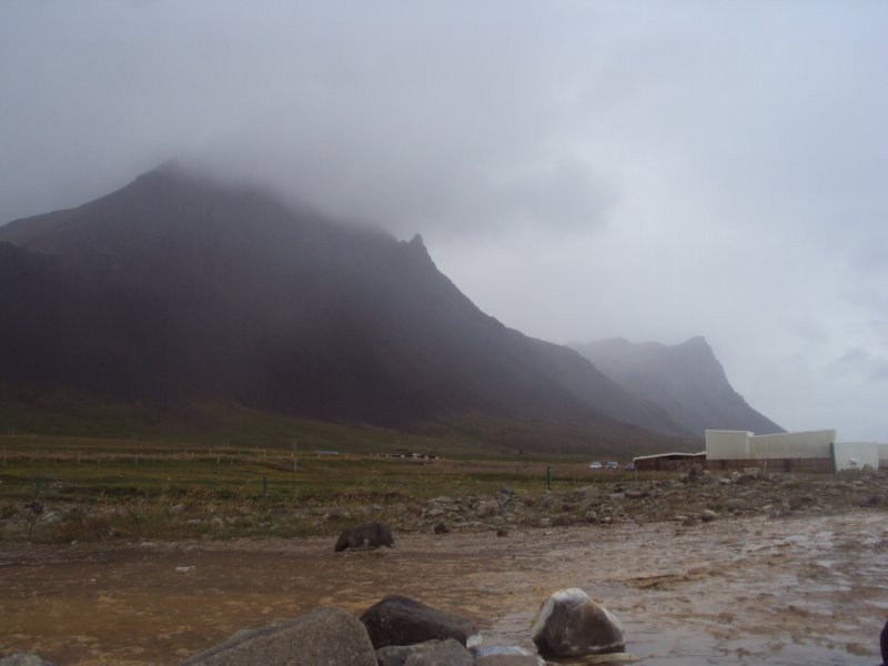DSC06053.JPG